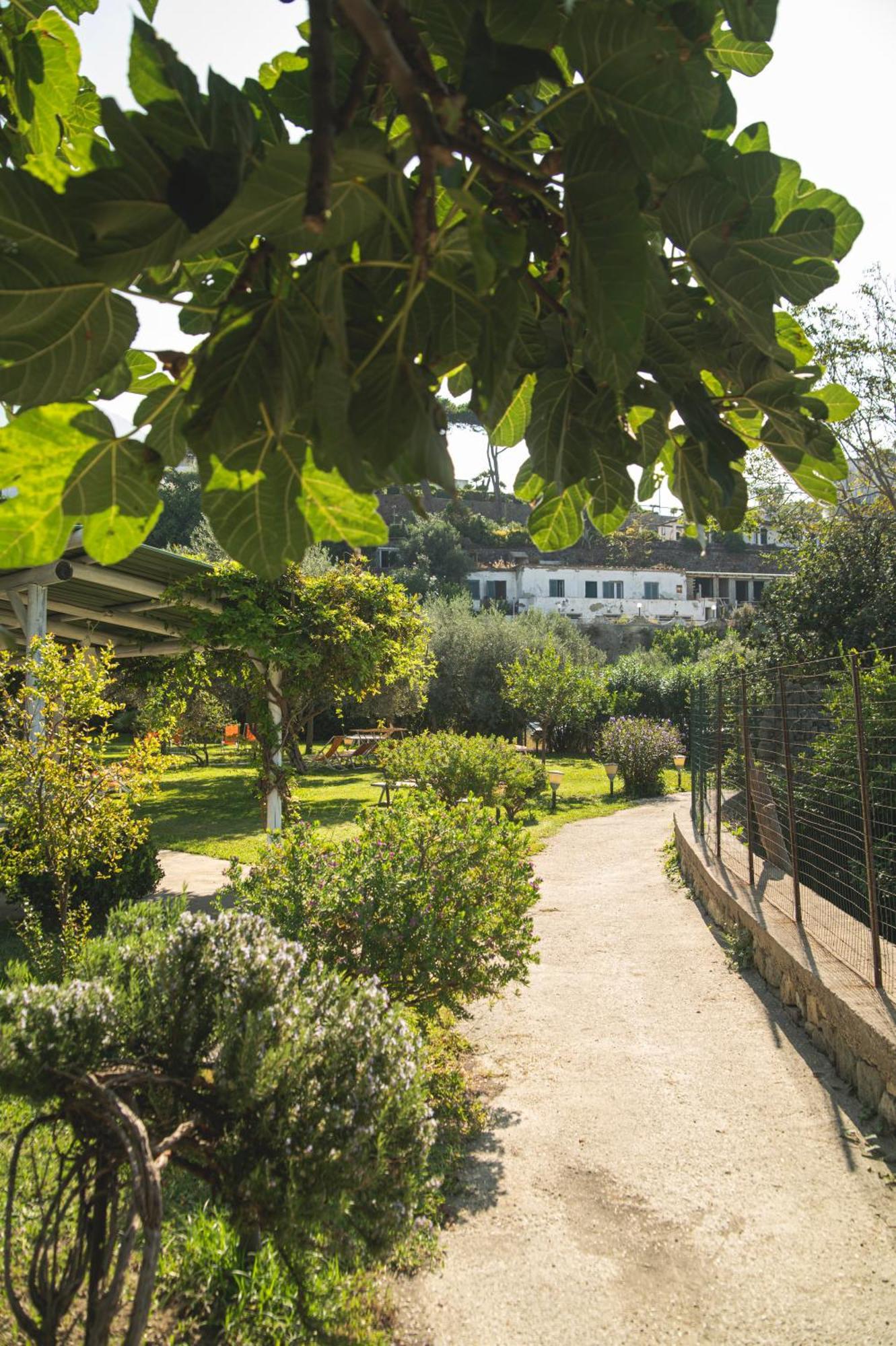 Hotel Park Victoria Forio di Ischia Buitenkant foto